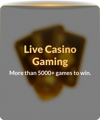 Monthly Tournament - Back